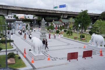 719452384.jpg