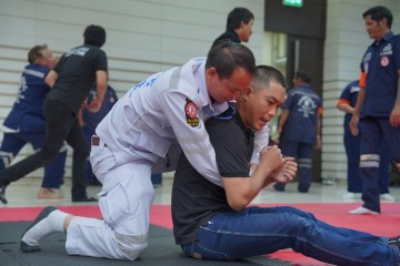 731754118.jpg