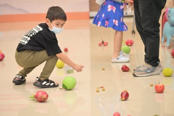 731397456.jpg